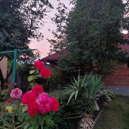 Apartamento Kulenovic