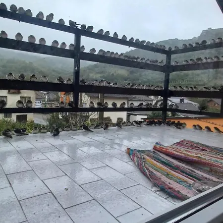 Kulenovic Apartamento