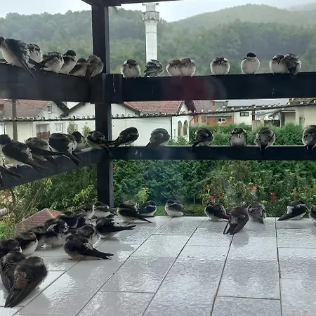 Kulenovic Apartament Kulen Vakuf