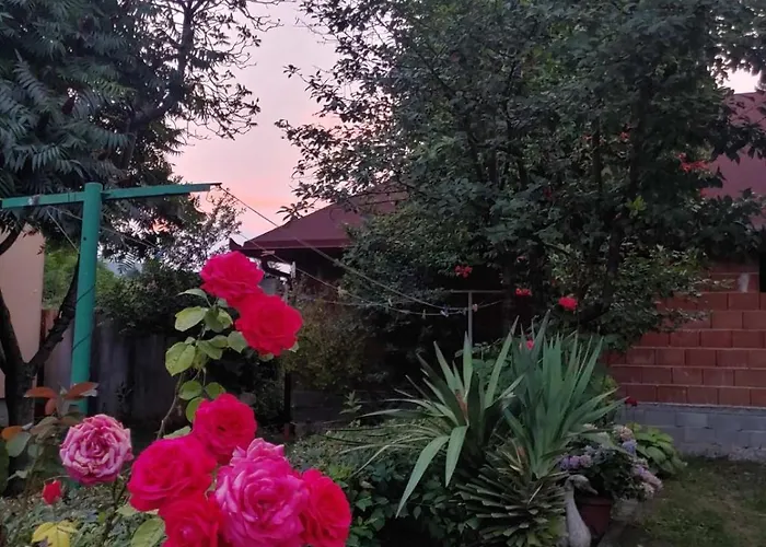 Apartament Kulenovic