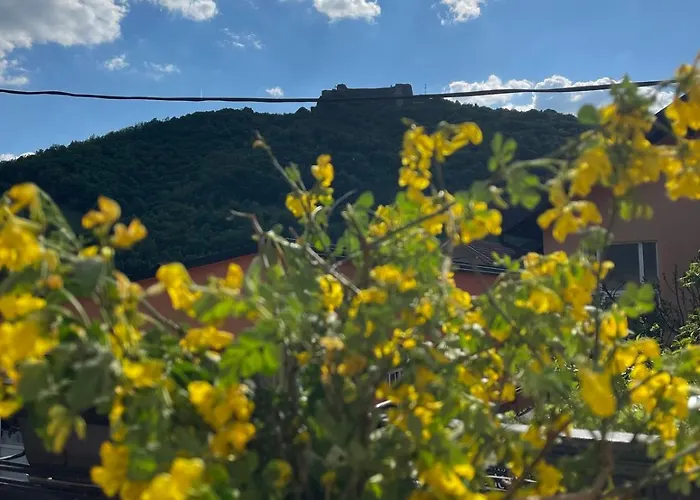 Apartament Kulenovic