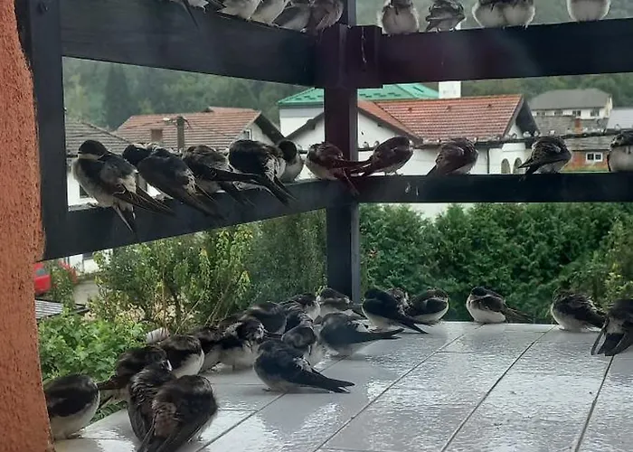 Kulenovic Kulen Vakuf