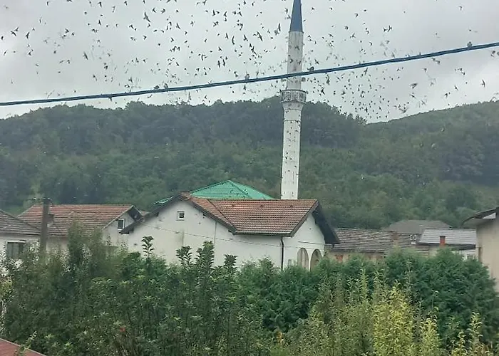 Apartament Kulenovic *