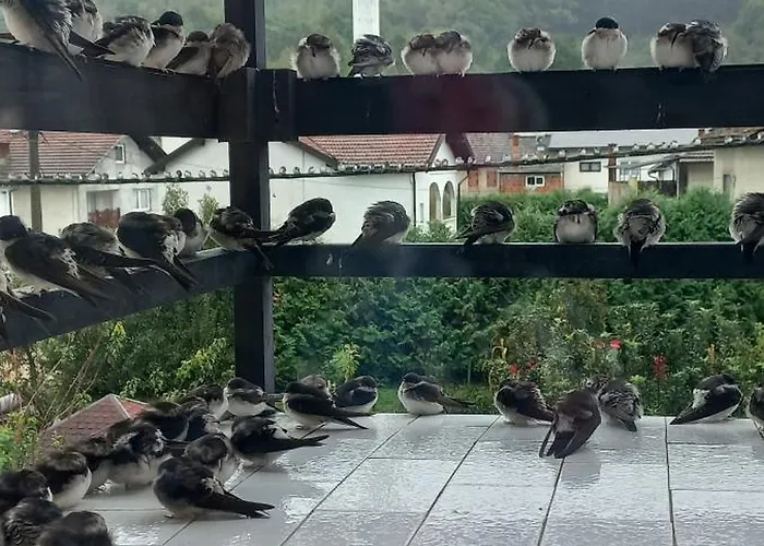 Kulenovic Apartamento Kulen Vakuf